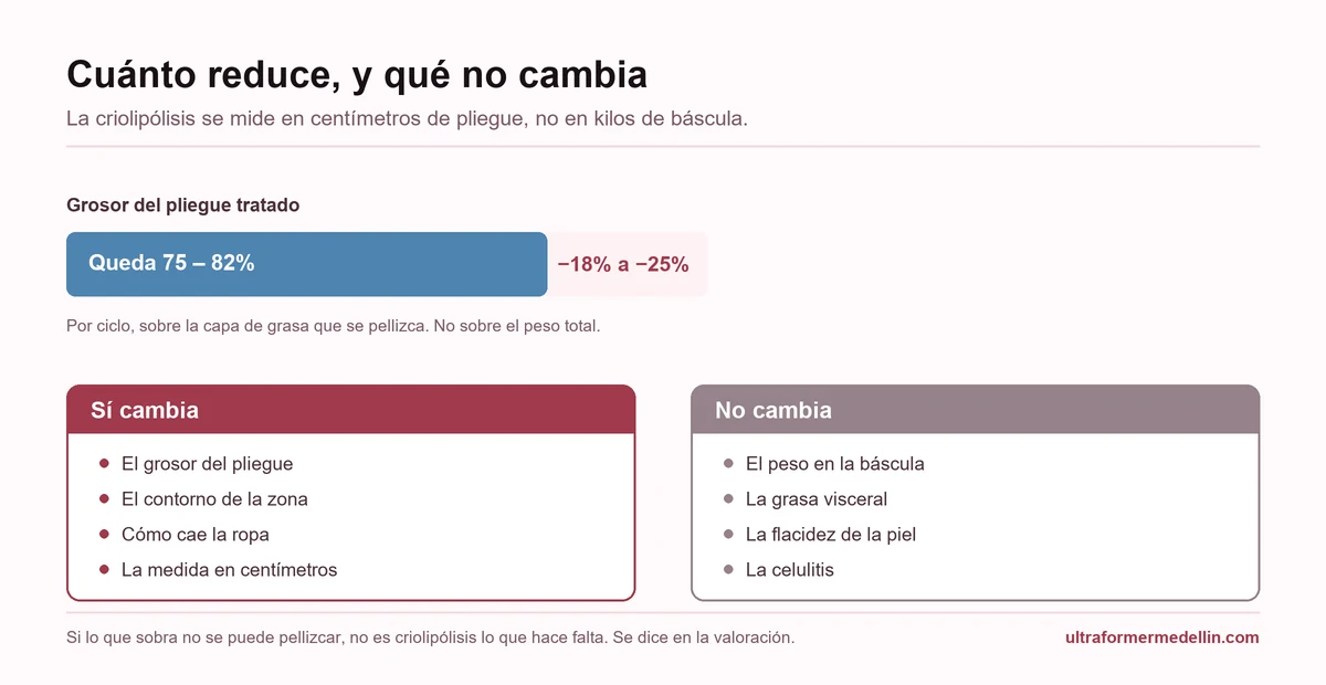 Gráfico de la reducción del pliegue con criolipólisis, entre el 18 y el 25 por ciento, y comparación entre lo que cambia y lo que no cambia