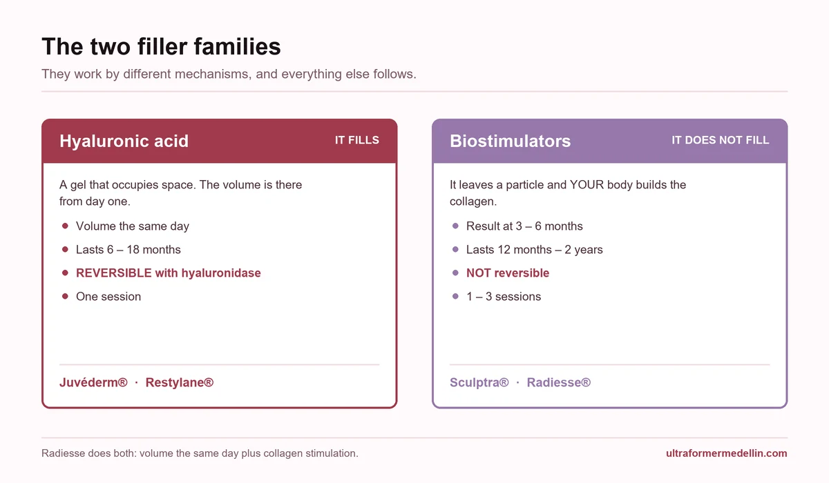 Comparative diagram of the two filler families: hyaluronic acid that adds immediate volume and biostimulators Sculptra and Radiesse that stimulate the body’s own collagen